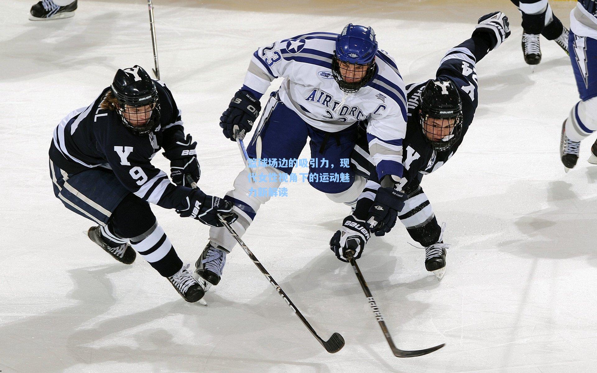 篮球场边的吸引力,现代女性视角下的运动魅力新解读